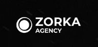 Zorka.Network